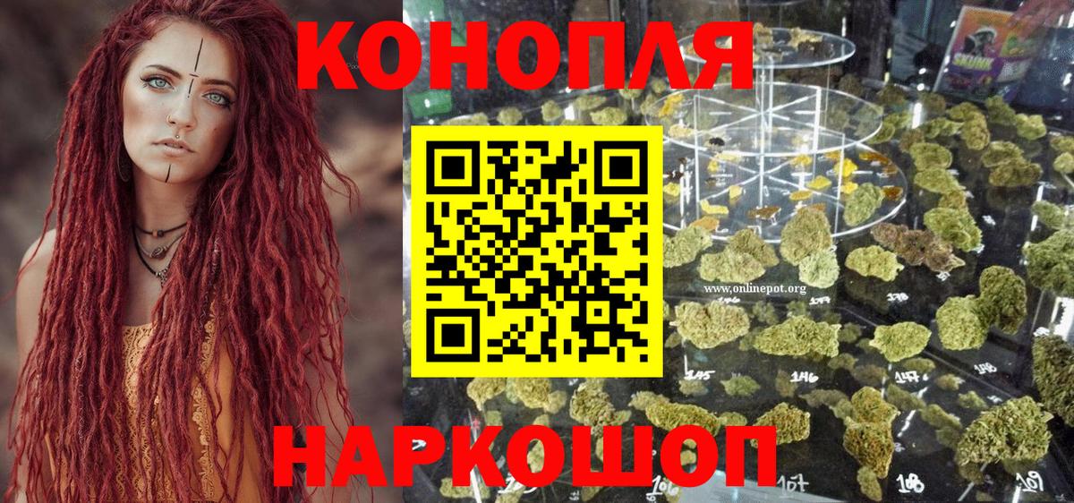 Каннабис White Widow Ачхой-Мартан